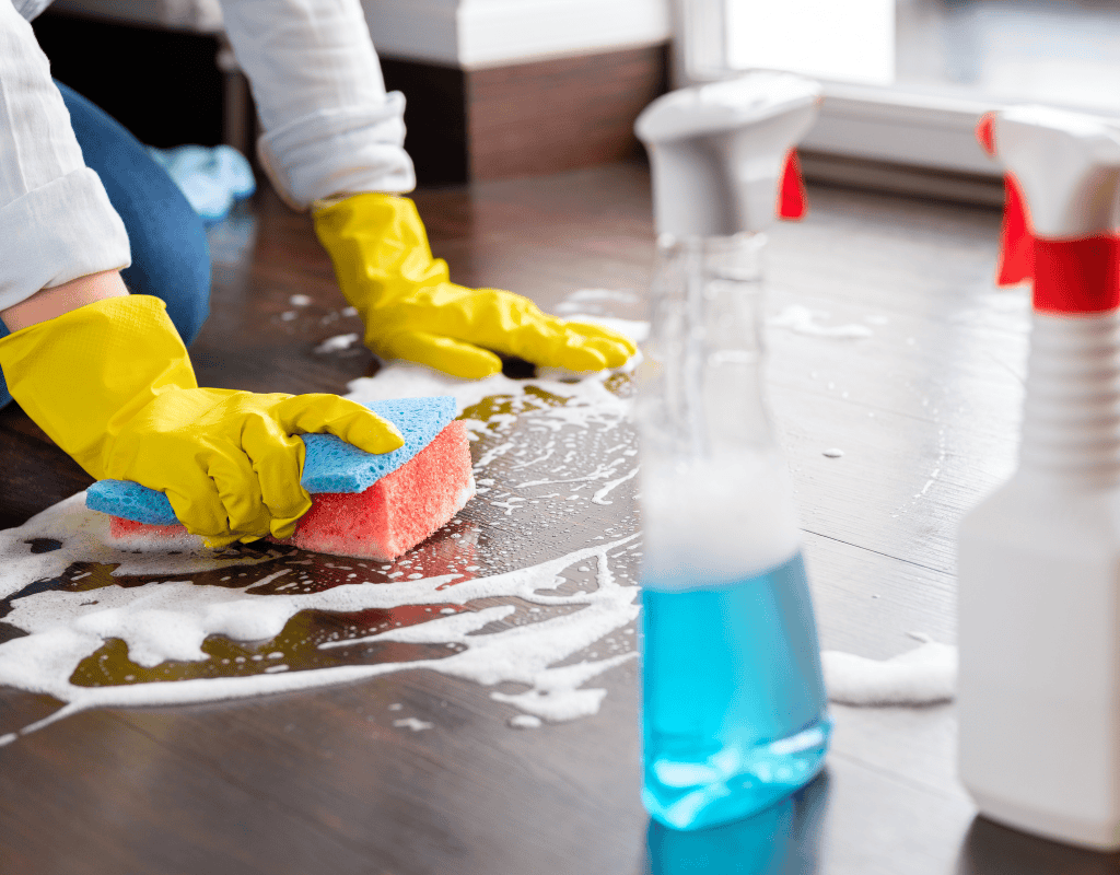 Cleaner scrubbing wooden floor with sponge and disinfectant during deep house cleaning service