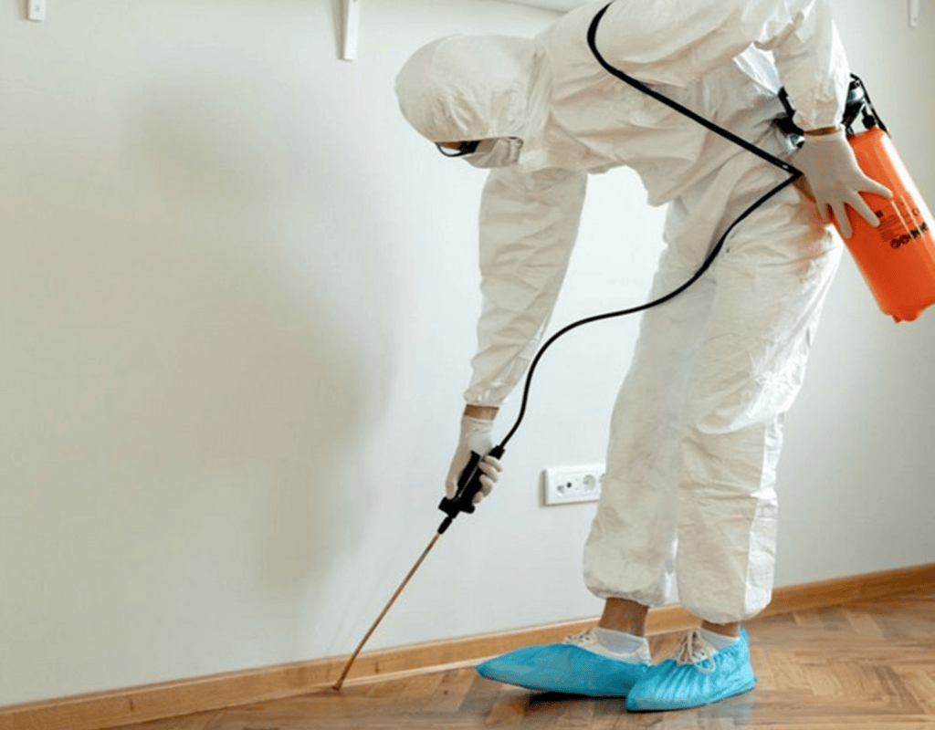 Newly cleaned modern kitchen interior after professional post construction cleaning service in Greater Houston