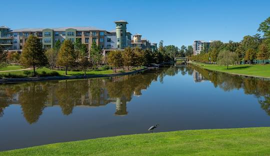 The Woodlands, TX