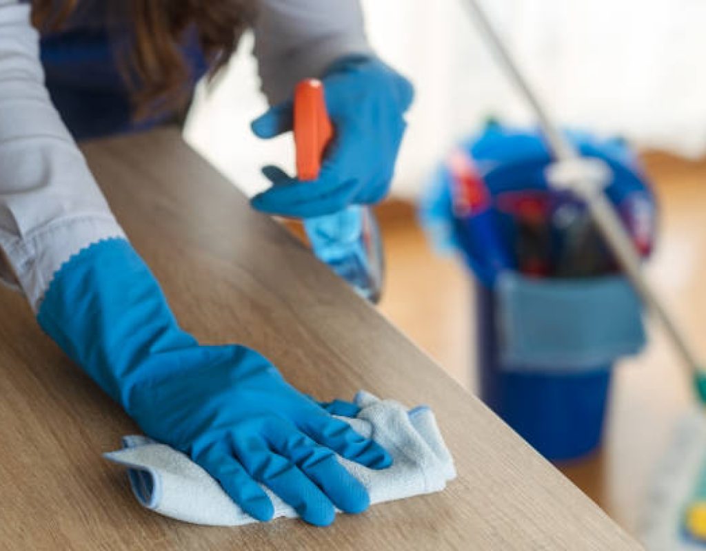 Reliable house cleaning service ensuring spotless kitchen and organized spaces