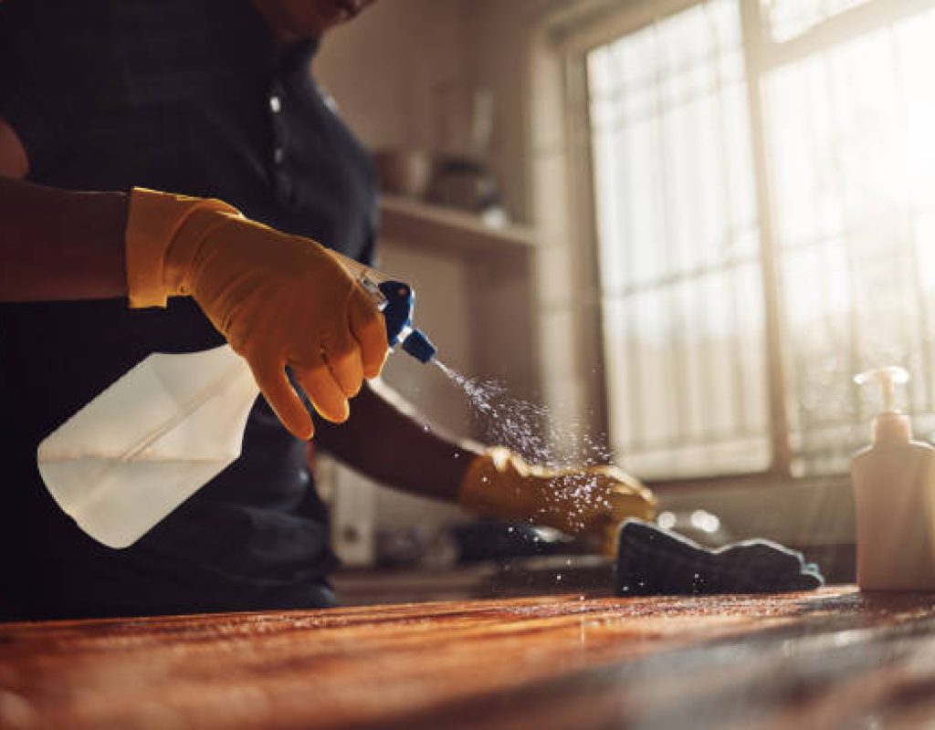 Professional cleaners providing house cleaning service Fort Bend County TX